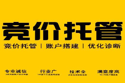 网站SEM托管优化案例：实现客户转化率提升